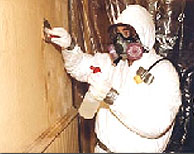 asbestos-abatement